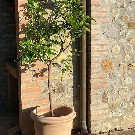 Luxury With Pool Orvieto Villa Ficulle